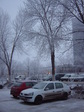 DSC00092.JPG
